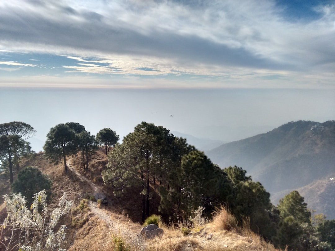 Dehradun to Kasauli Taxi